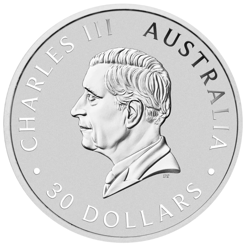 Stříbrná mince 1 kg Australian Koala 2026
