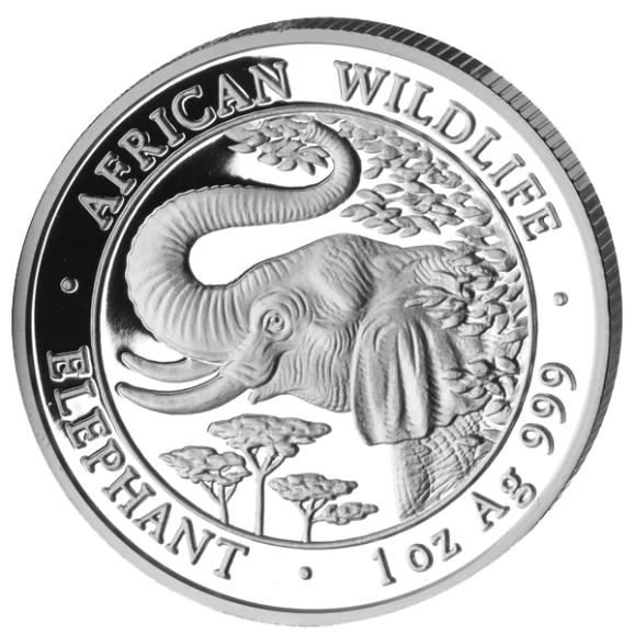 Stříbrná mince 1000 Shillings Elephant (Slon africký) 1 Oz 2005 (African Wildlife Series)