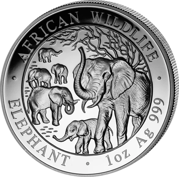 Stříbrná mince 100 Shillings Elephant (Slon africký) 1 Oz 2008 (African Wildlife Series)